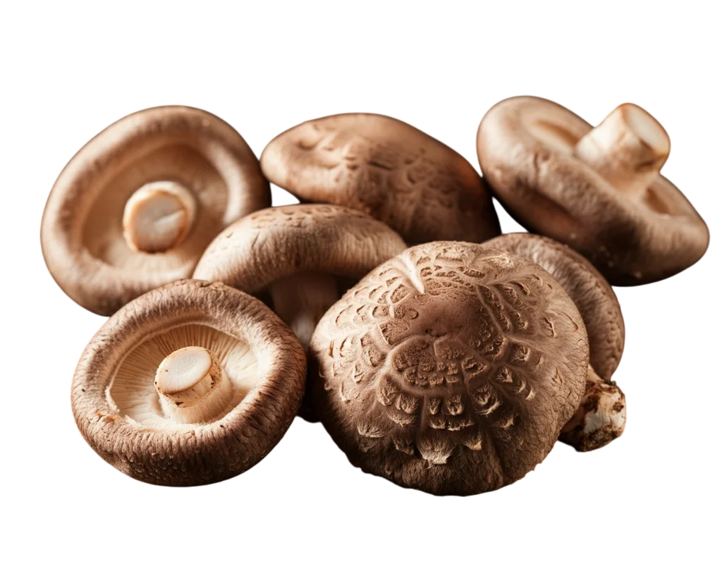 Shiitake