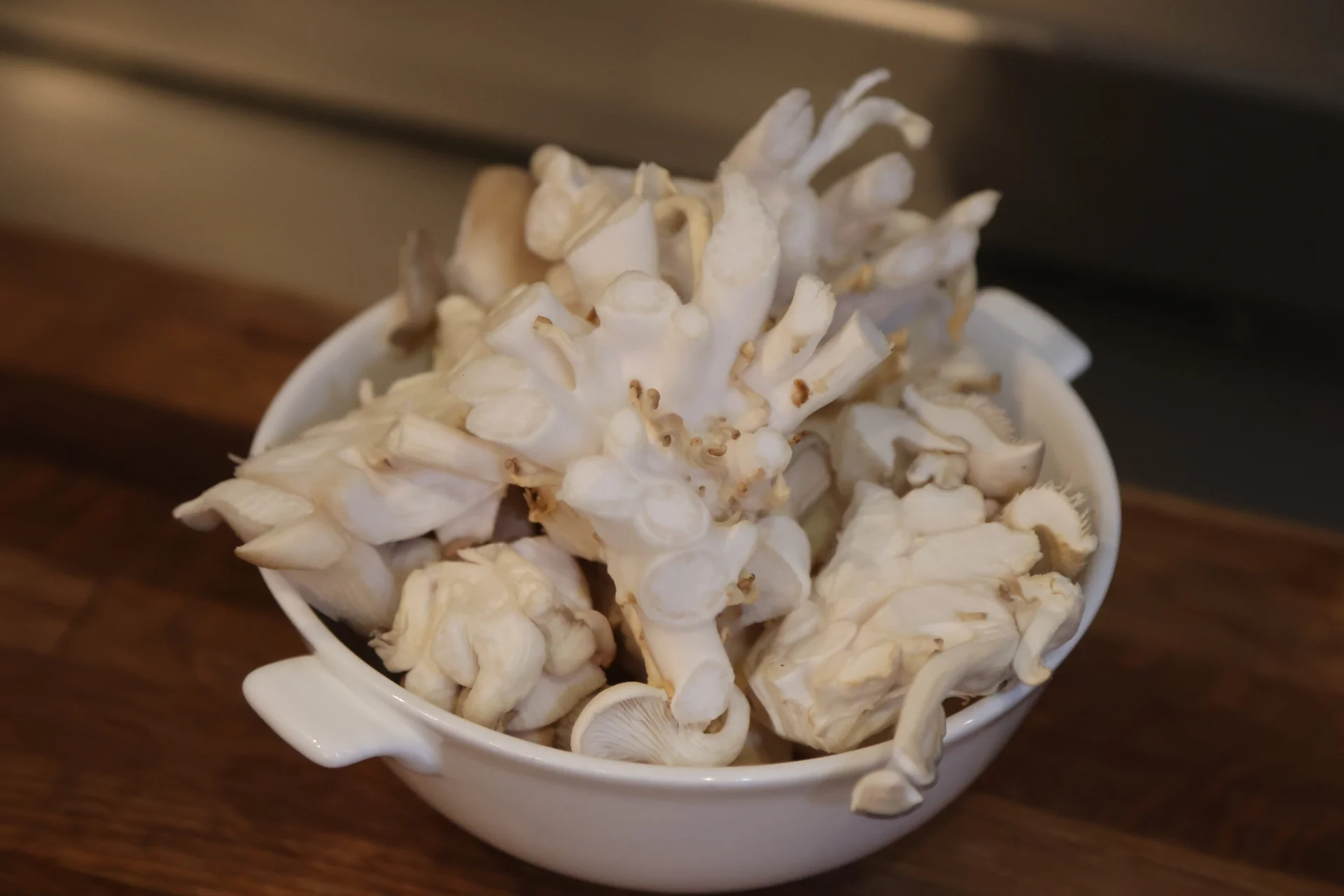 The Freshest Mushrooms in Hudson Valley Chef Daniel Hudson Valley Bistro
